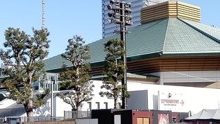 IMG_20171229_115421.jpg