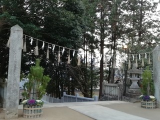 IMG_20200101_165152.jpg